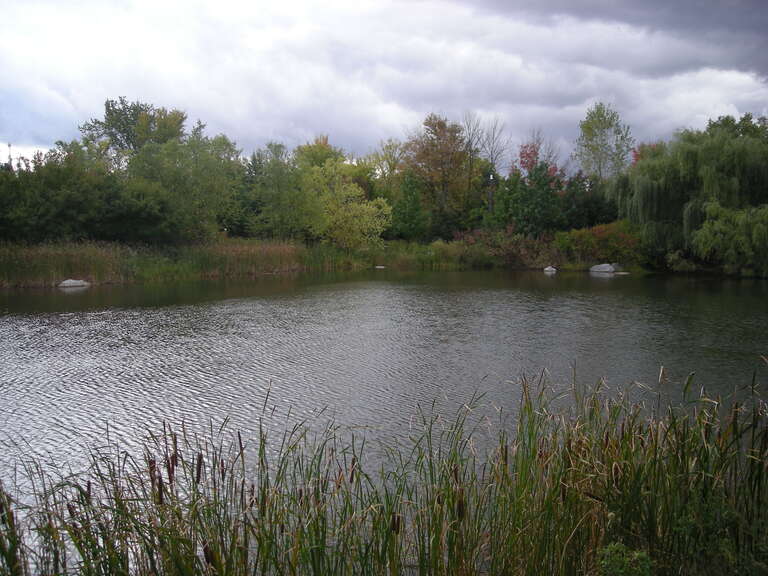 A pond in the Sculpture Park at the Frederik Meijer Gardens &amp; Sculpture Park in Grand Rapids Township, Michigan (United States).