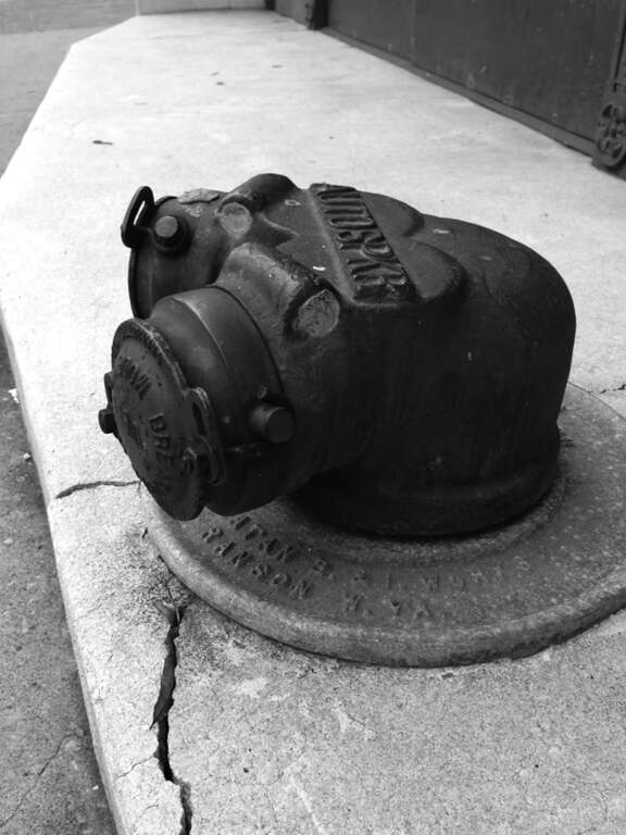 Copyrights by Walter Willimann aka Mimizane
Chattanooga TN Charleston SC