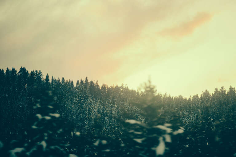Montana, United States