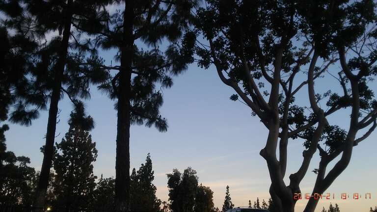 Norwalk, CA, USA
