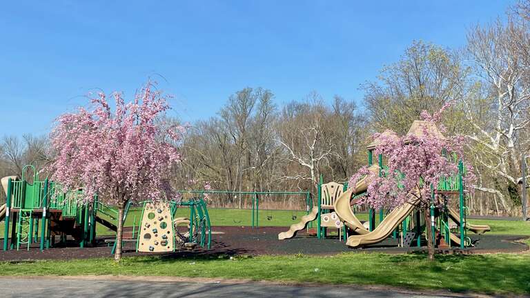 Playground and flowering trees at Green Brook Park in Plainfield, New Jersey.



This is an image of a place or building that is listed on the National Register of Historic Places in the United States of America. Its reference number is 04000437.
