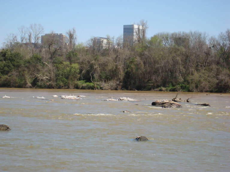 river