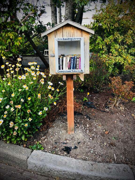 Little Free Library