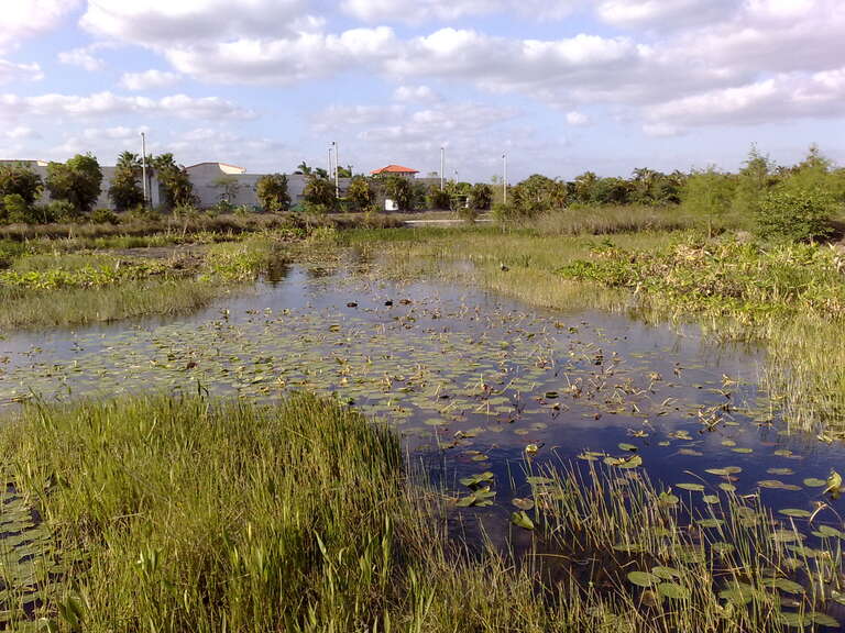 Volunteer Park, probably in Fort Lauderdale, Florida