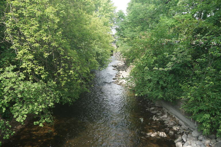 The Fox River in Waukesha, Wisconsin (United States).