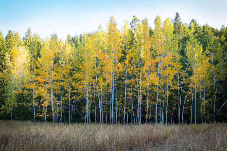 Leavenworth, United States