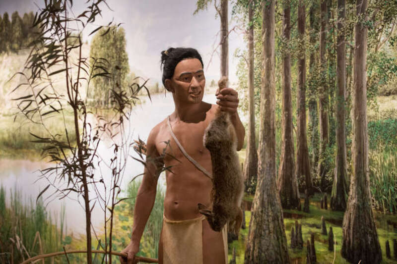 Cahokia Visitor's Center