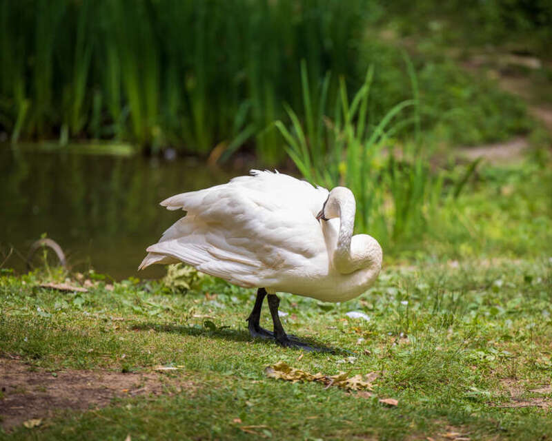 Photo taken at the Columbus Zoo in Columbus, Ohio.