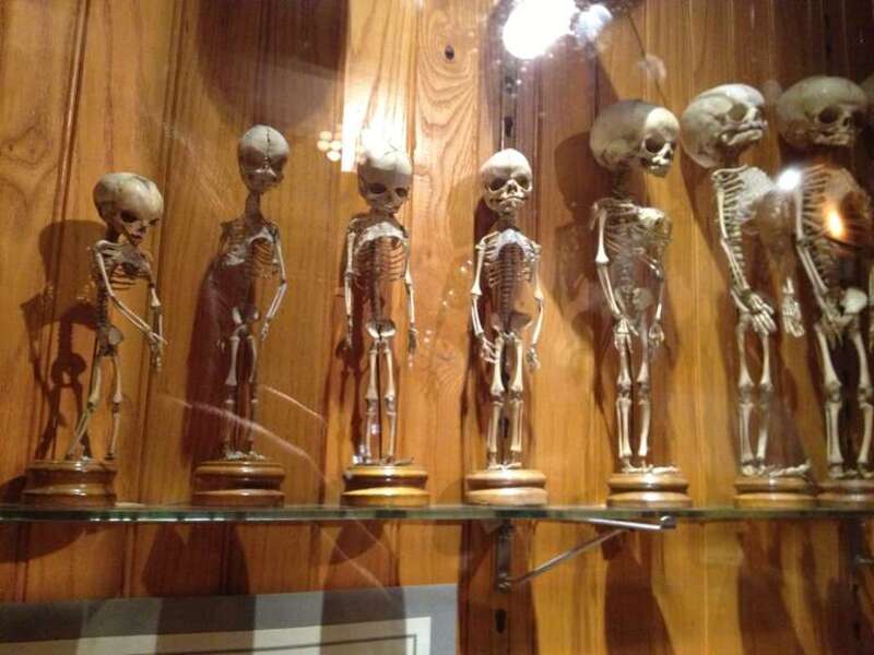 Mütter Museum.