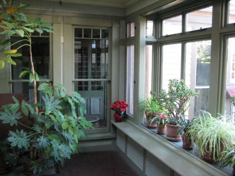 Plant care room