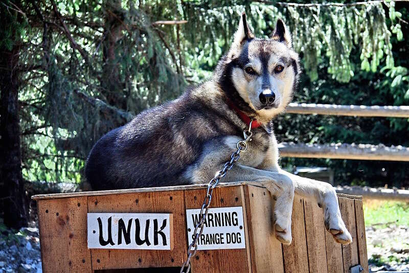 Alaska
