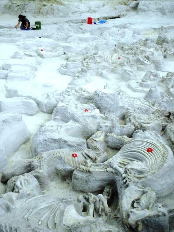Ashfall Fossil Beds State Historical Park, Nebraska