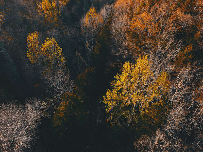 Jasper, United States