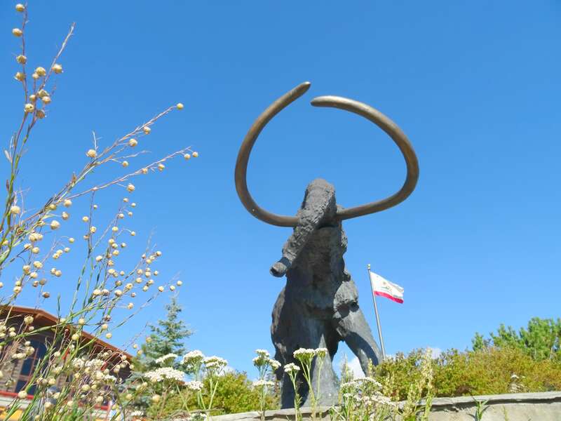 Mammoth Statue