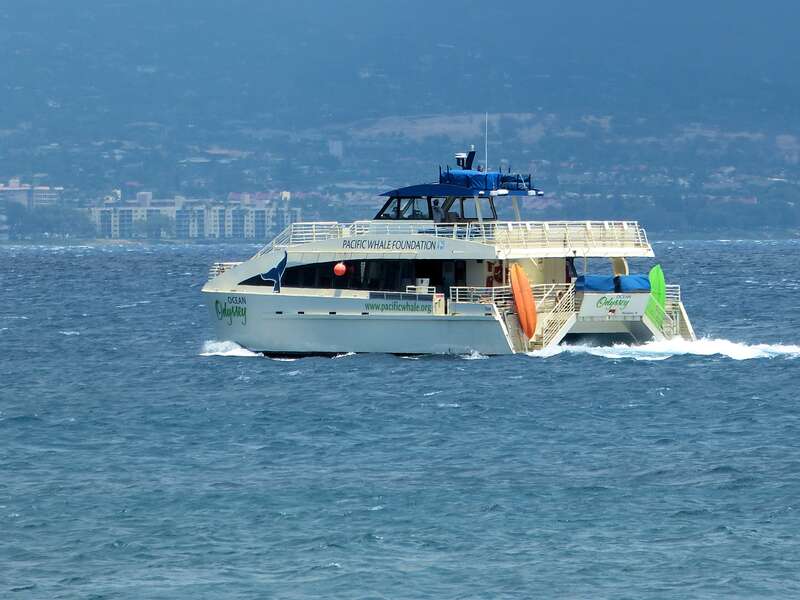 Pacific Whale Foundation off Maui James Brennan Hawaii