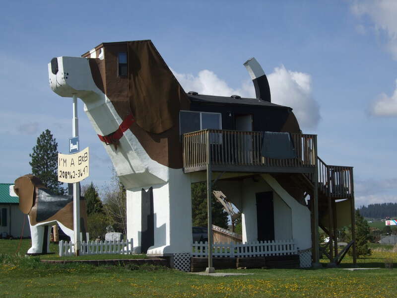 Sweet Willy Dog Park Park Inn