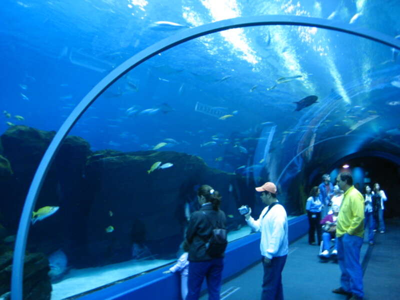 Tunnel crowd