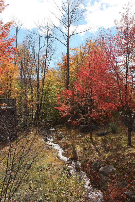 Flume Gorge, Daniel Webster Hwy, Lincoln