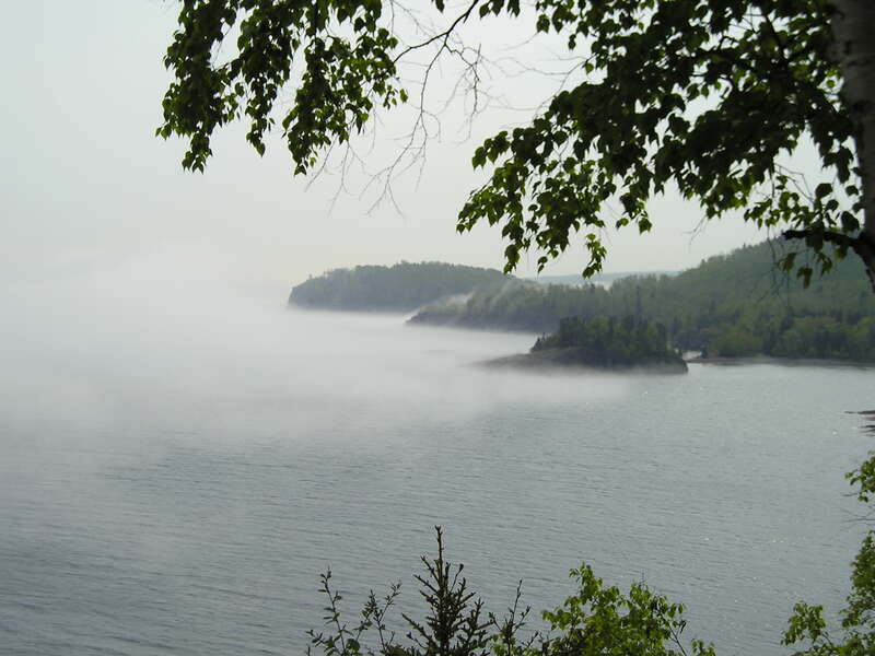 Fog Over Forest