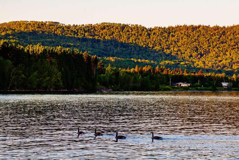 Canadian geese in Grand Portage Bay (Lake Superior), as seen from Grand Portage National Monument, Grand Portage, Minnesota.