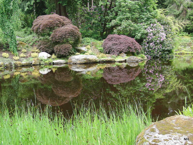 Japanese Garden pond area