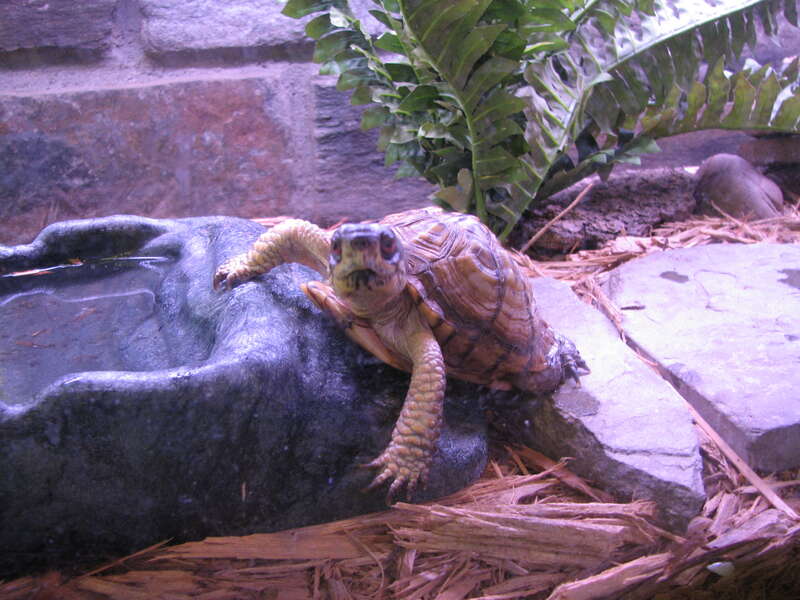 Nature Center and Planetarium in Rock Creek Park (5200 Glover Road Northwest, Washington, DC 20015)