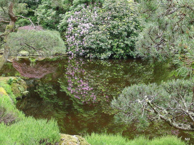 A view of a pond at w:Bloedel Reserve on w:Bainbridge Island