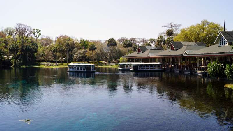 Silver Springs 1