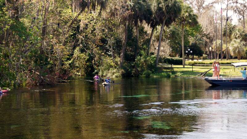 Silver Springs 4