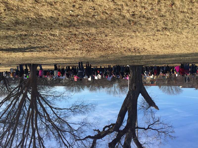 Women's March 2016