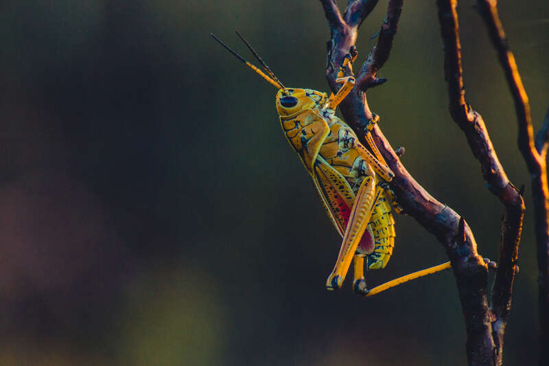 Florida, United States