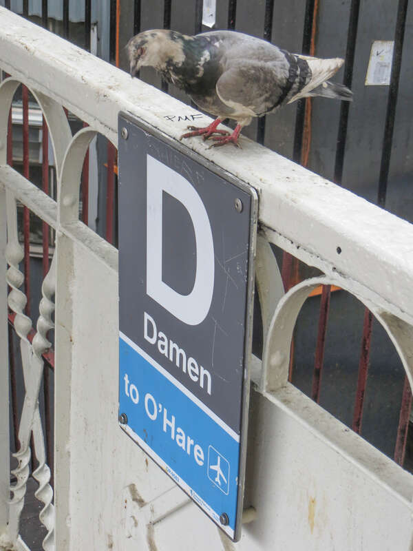20140404 19 CTA Blue Line L @ Damen