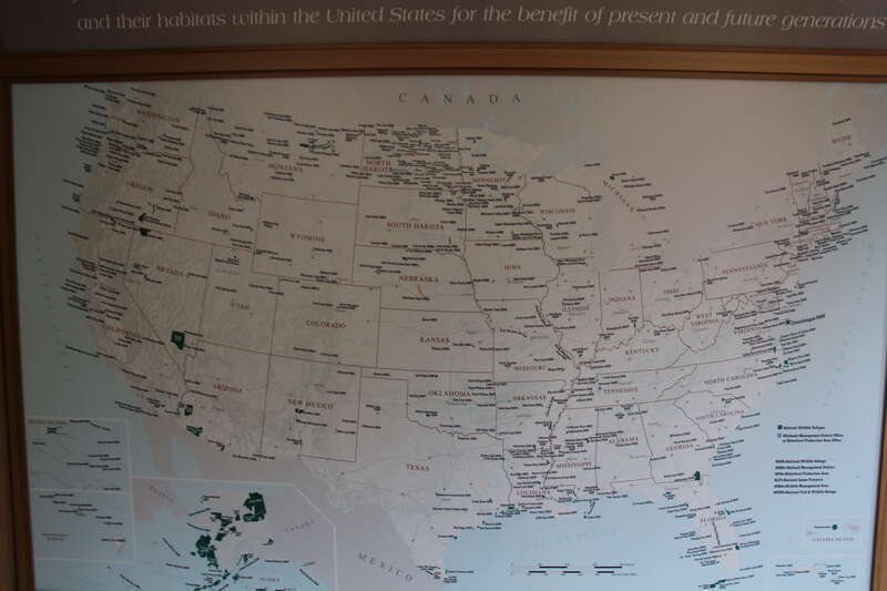 assateague island educational center