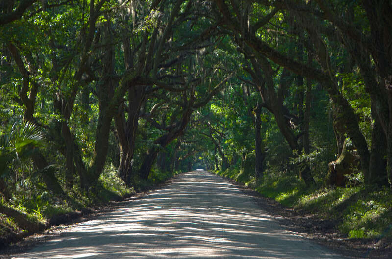 Botony Bay Road #1