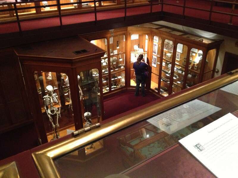 Mütter Museum.