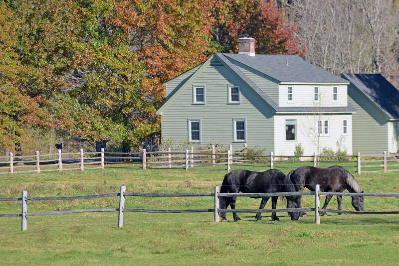 NPS and the Billings Farm &amp; Museum / The Woodstock Foundation explores the integration of conservation, heritage, and human values, while advancing programs, projects, and collaborations for the benefit of the general public within the State of