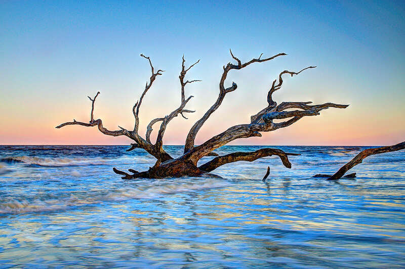 Driftwood Beach - Jekyll Island, GA