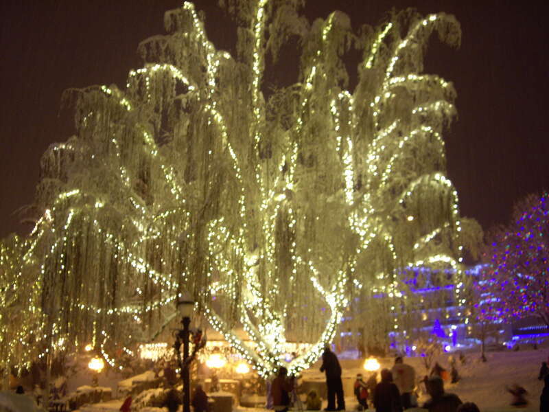 Christmas Tree Lighting Weekend Dec 2010-Fireworks Tree