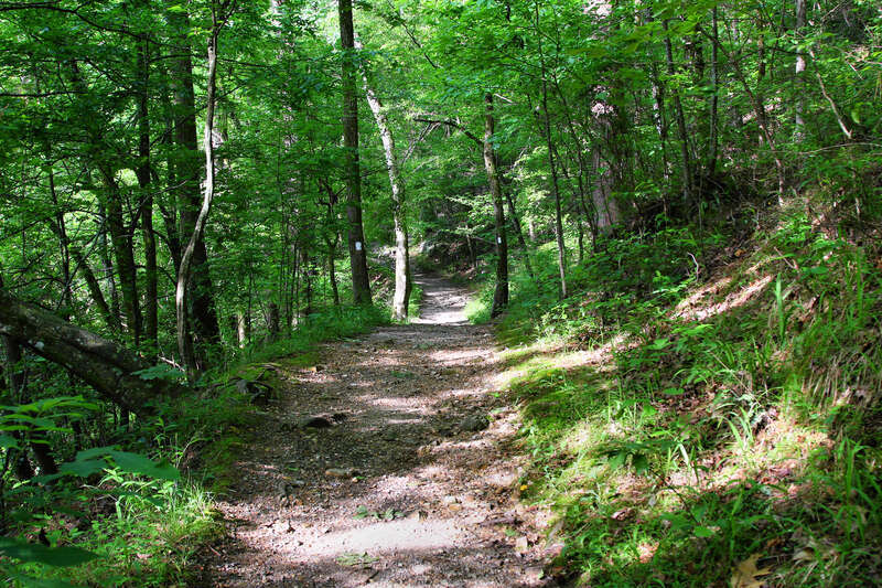 On the Gulpha Gorge Trail in Hot Springs National Park, Hot Springs, Arkansas, United States.