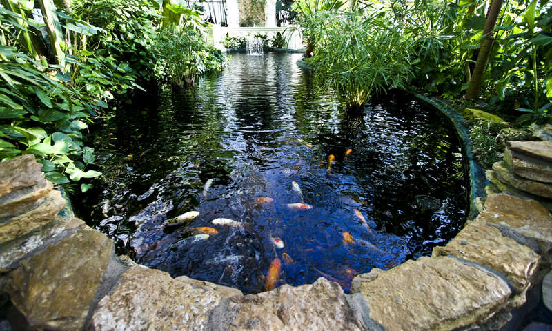 Marjorie McNeely Conservatory