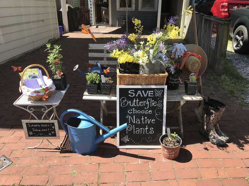 66th Year to put flowers out on May Day
