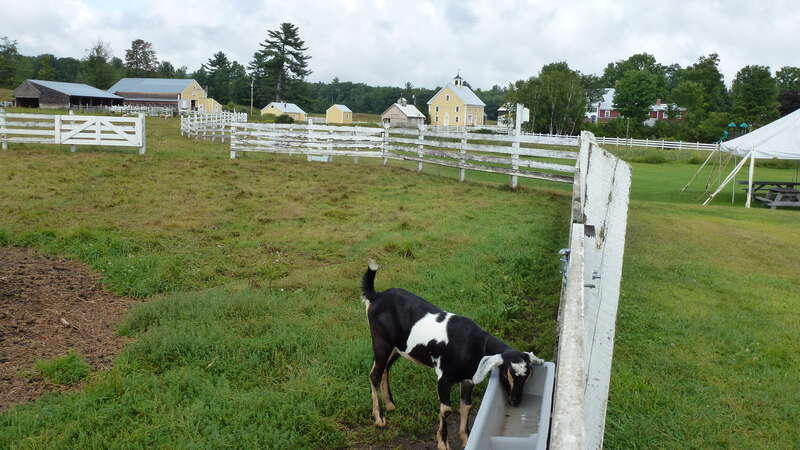 A historic house and working farm complex at 4 Great Hill Road in Tamworth, New Hampshire. Includes the Capt. Enoch Remick House and a farmhouse that were the home and offices of the father and son country doctors. The site also includes a cattle