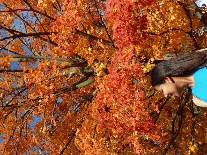 Fofinha en otoño