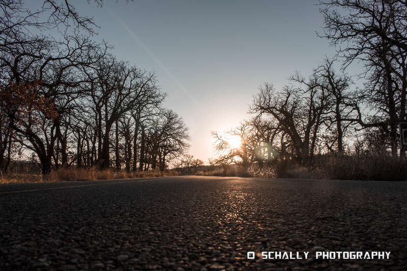 
500px provided description: Sunset Im Wildlife [#sunrise ,#sunset ,#sun ,#evening ,#sundown ,#automn ,#silouette ,#golden hour ,#weeping willow ,#sunflare ,#sunet ,#goldenhour]