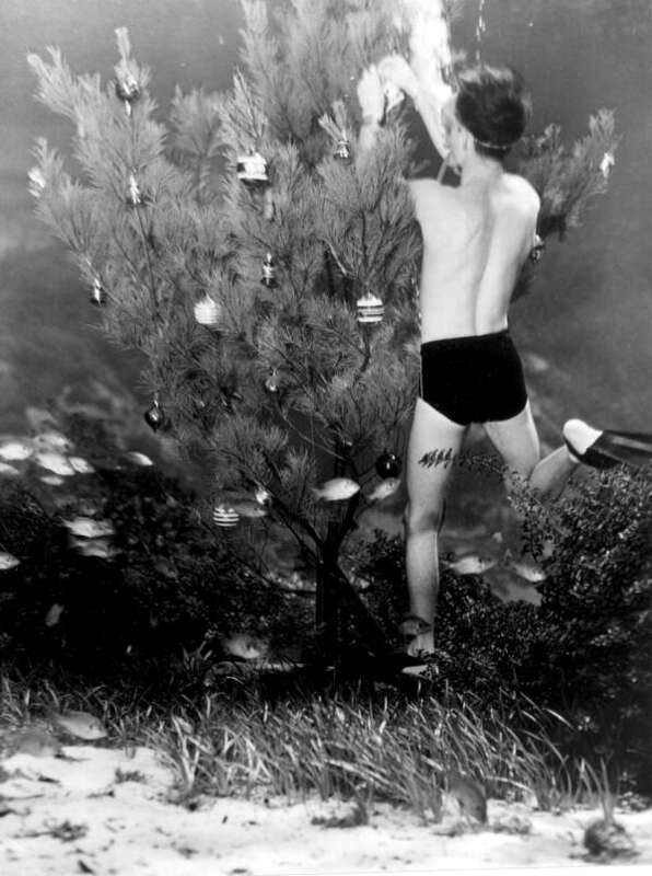 Local call number: c006956
Title: Bud Bassette Decorating Underwater Christmas Tree
Personal Author: Whitley, Joe.
Date: December 11, 1948
Physical descrip: 1 photoprint: b&amp;w; 5 x 4 in.
Series Title: Department of Commerce Collection
Repository:
