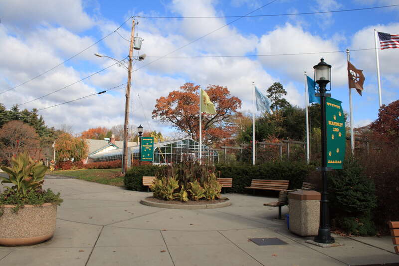 A view from just inside the entrance at Beardsley Zoo


Camera location41° 12′ 34.62″ N, 73° 10′ 55.55″ W View this and other nearby images on: OpenStreetMap 41.209618;  -73.182096
