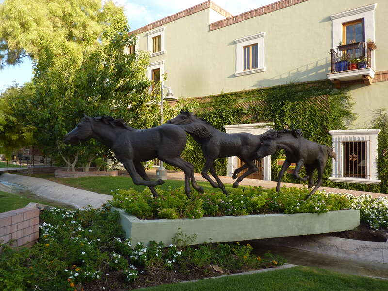 Honoring the Horse