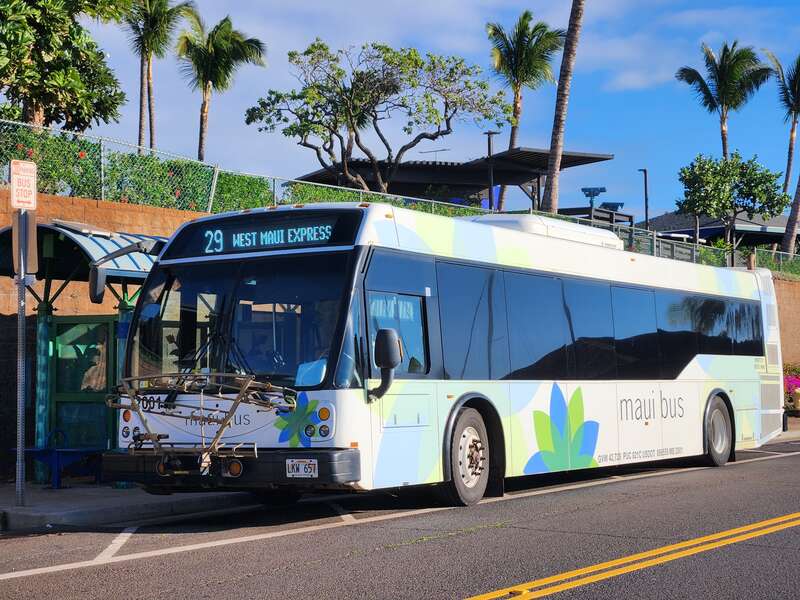 Maui Bus ElDorado Axess bus MB2001 providing service on route 29 towards Kapalua, at Ma'aleaa Harbor Village stop, 25 December 2023