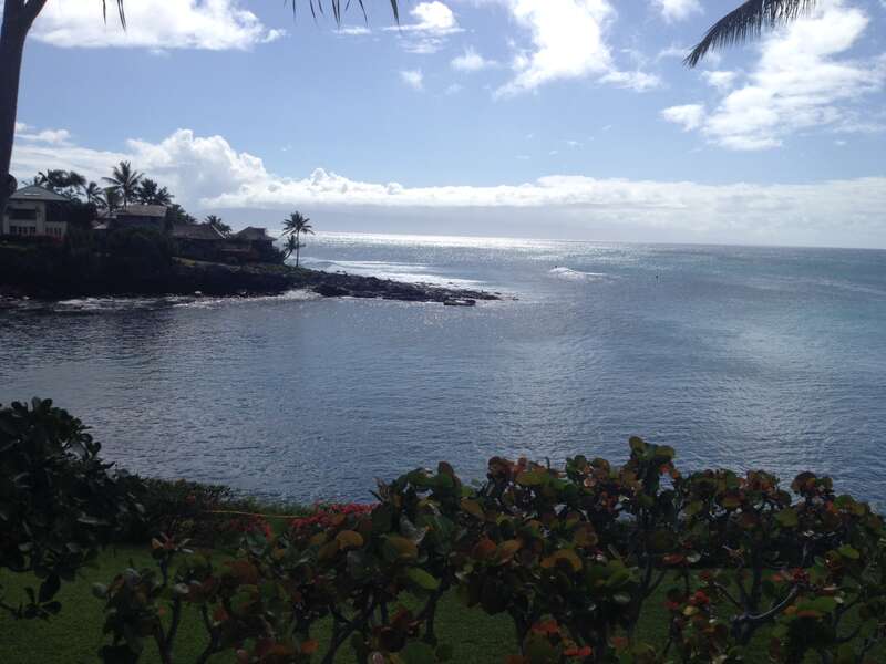 The beach in Maui.