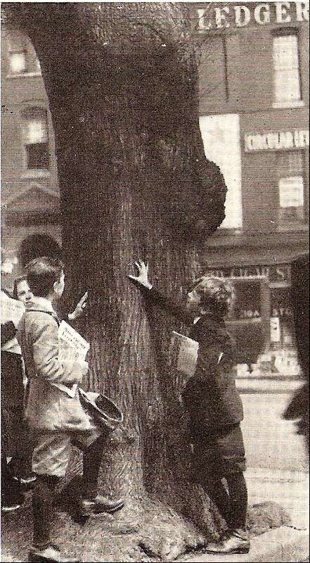 Kids examining the trunk of the "Morse Elm", which stood on the NW corner of Fourteenth Street and Pennsylvania Avenue, NW.  It was cut down in 1921 during a road widening project.
The tree was named for the inventor Samuel F. B. Morse, who was